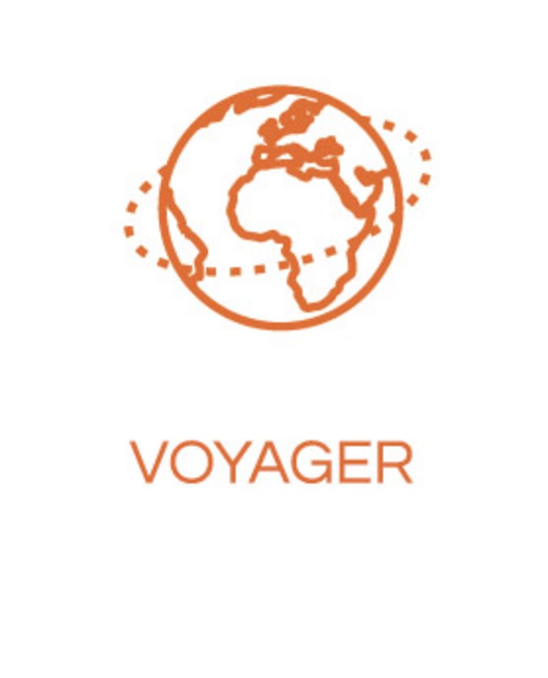 Icône globe pour lien vers page voyager