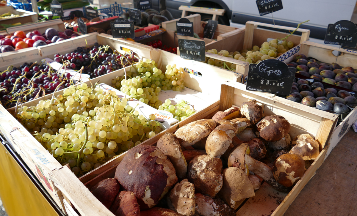 Plateaux de raisins et de champignons