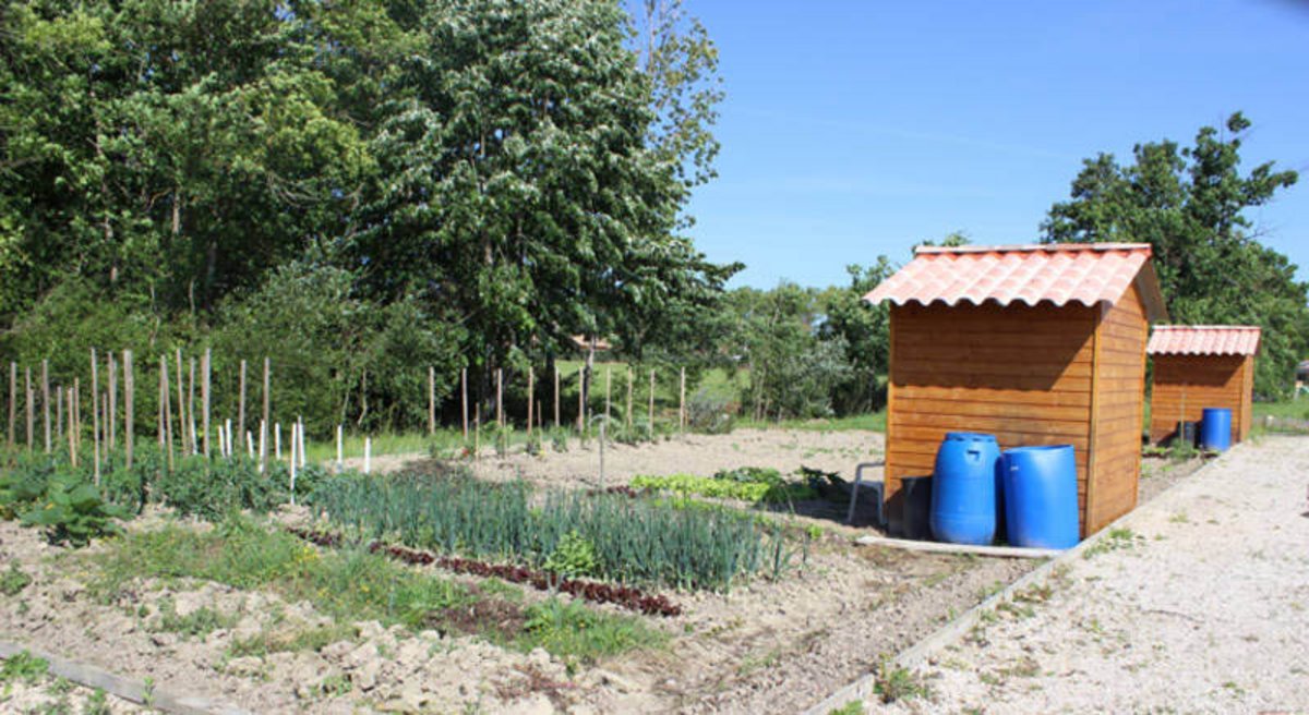 Jardin avec cabanon en bois