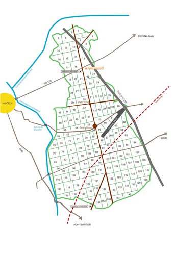Plan numéroté des parcelles de la forêt de Montech